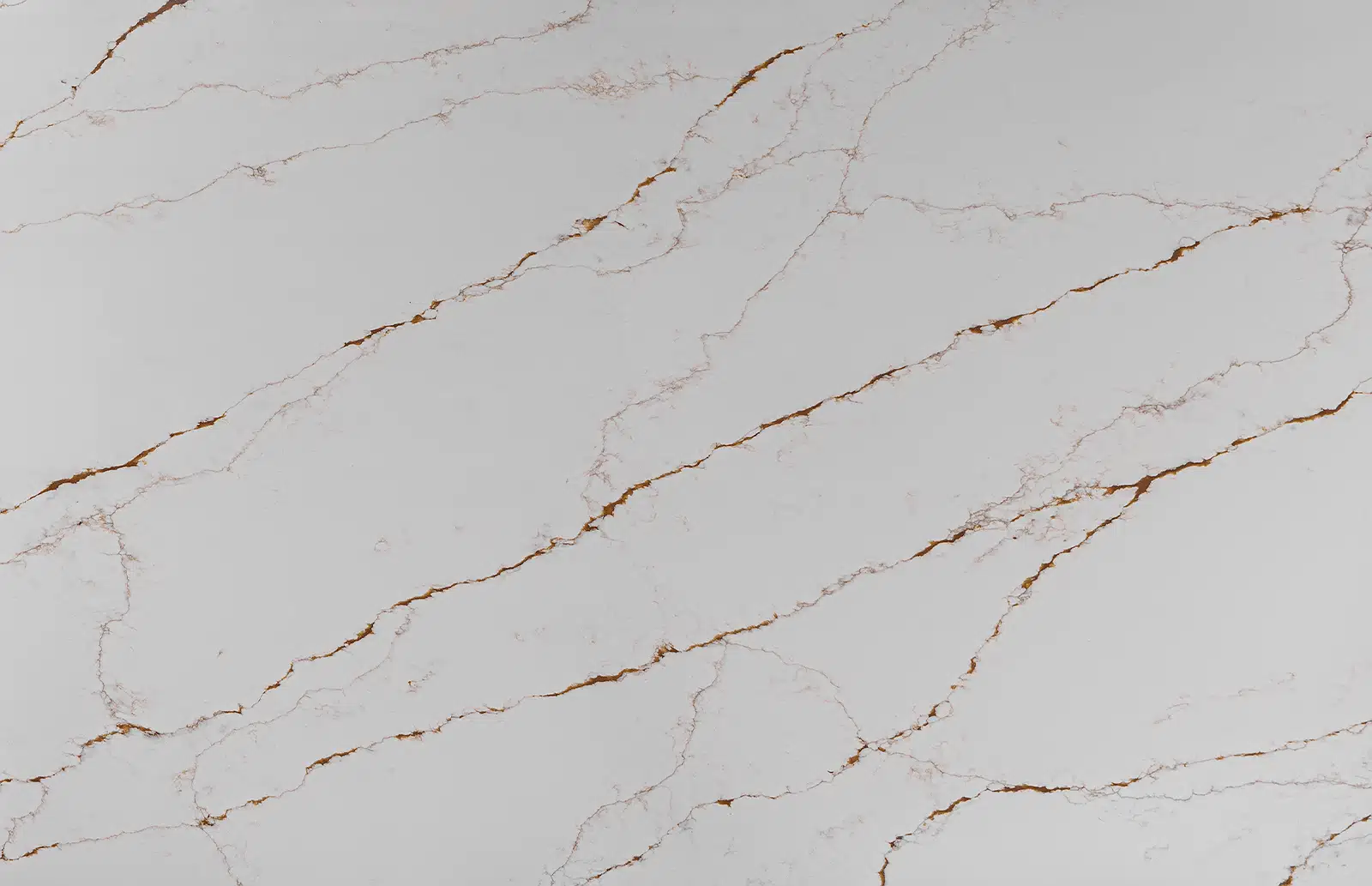 Tuscan Vein