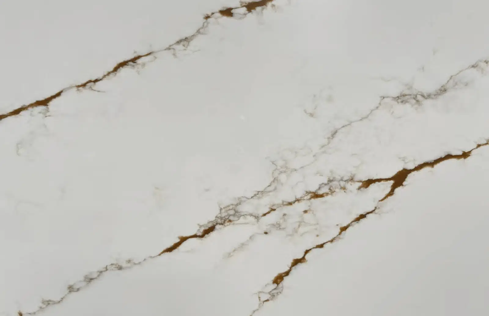 Tuscan Vein