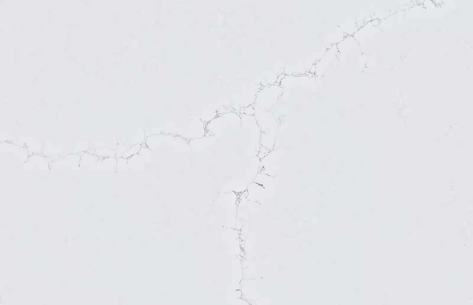 Alaska White
