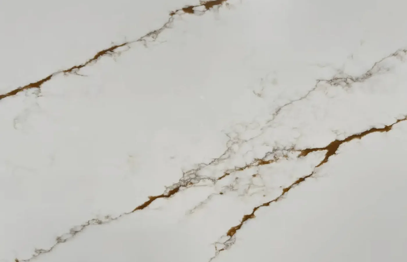 Tuscan Vein