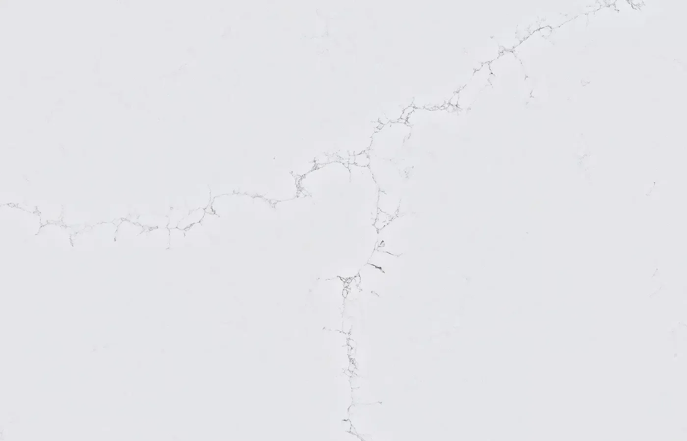 Alaska White